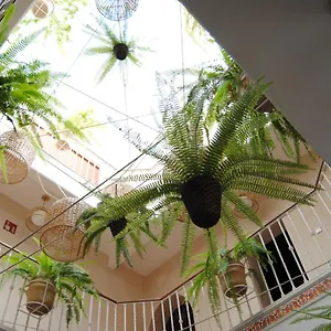 Cordoba Sevilla
